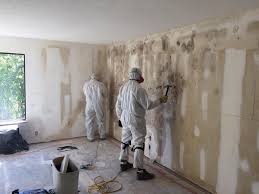 Best Environmental Consulting for Mold Prevention  in Highlands Ranch, CO